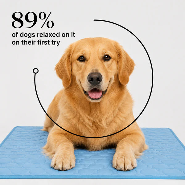 4. Vet-Approved. Dog-Obsessed.