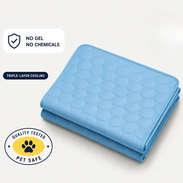 6. Clean. Safe. Made With Care — And What Vets Say