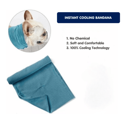 Cooling Bandana