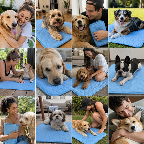 5. 50,000+ Dogs Cooler This Summer Alone