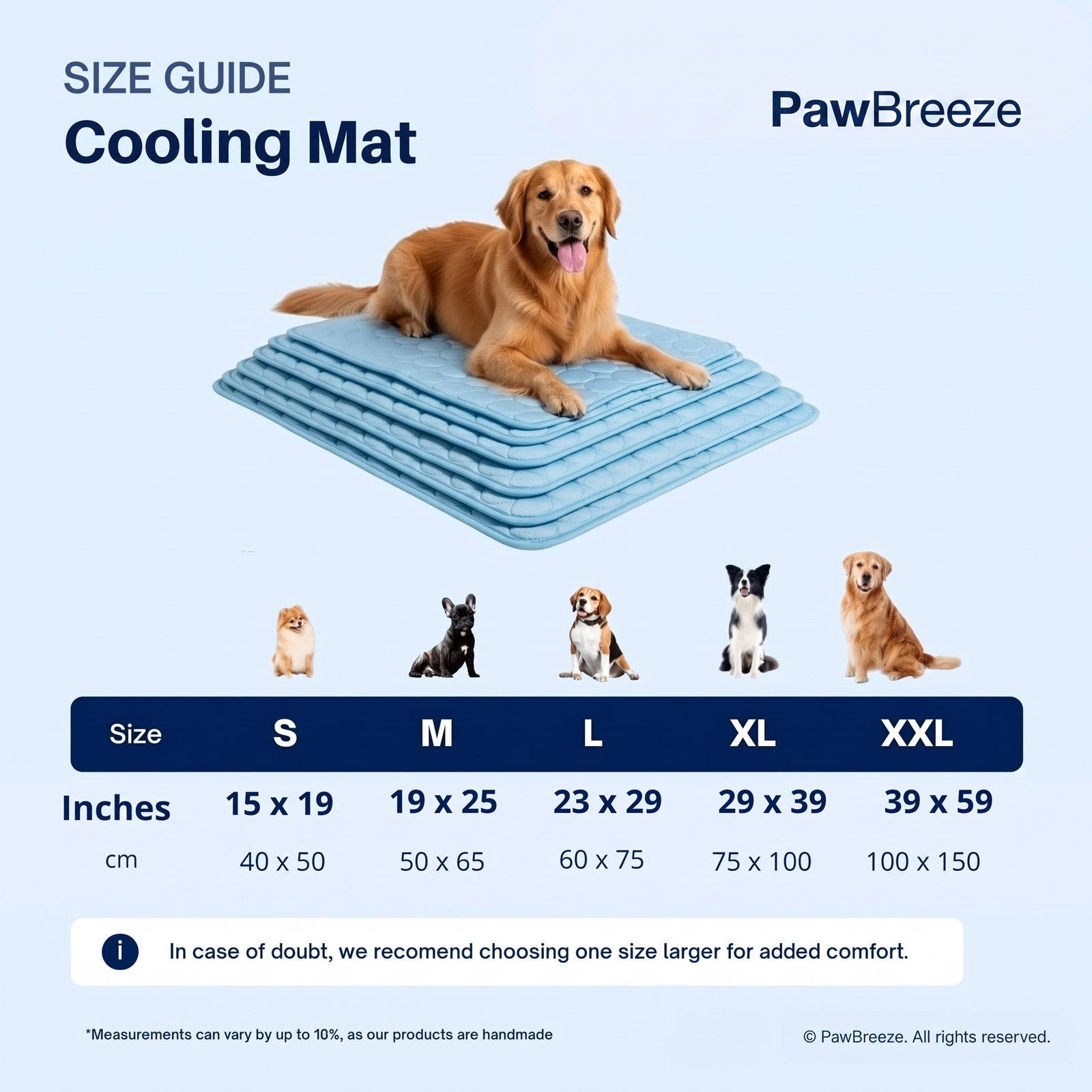 Which Size Fits Your Dog?